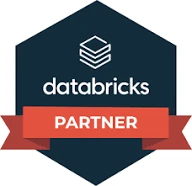 Databricks Partner